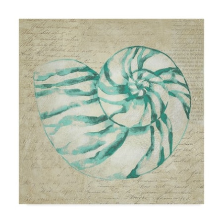 Chariklia Zarris 'Seafoam Shell I' Canvas Art,35x35